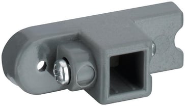 Adaptor MSMNO