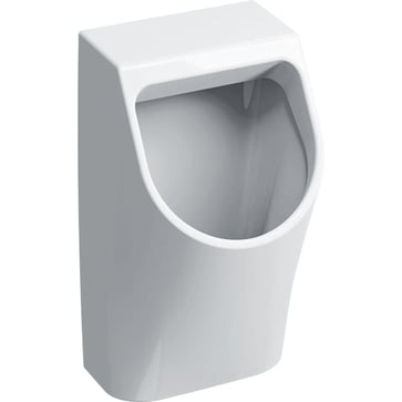 Geberit Renova Plan urinal 325 x 300 x 580 mm tilslutning bagfra hvid porcelæn