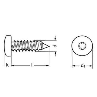 4,2X19 FZB panhoved pladeskrue t-driv