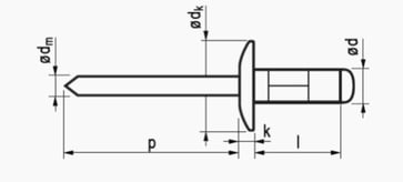 4,8X20 rundhovedet aluminium/stål   blindnitte  stort hoved Multigrip