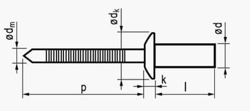 4,0X9,5 rundhovedet  rustfri/rustfri standard blindnitte lukket