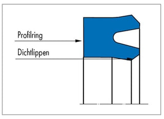 Nutring N 20X45X12