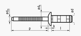 3.2X10 rundhovedet rustfri/rustfri blindnitte åben multigrip